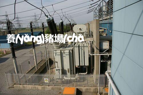 養(yǎng)豬場(chǎng)廢水處理視頻揭秘：環(huán)保新技術(shù)如何顛覆傳統(tǒng)處理方式？